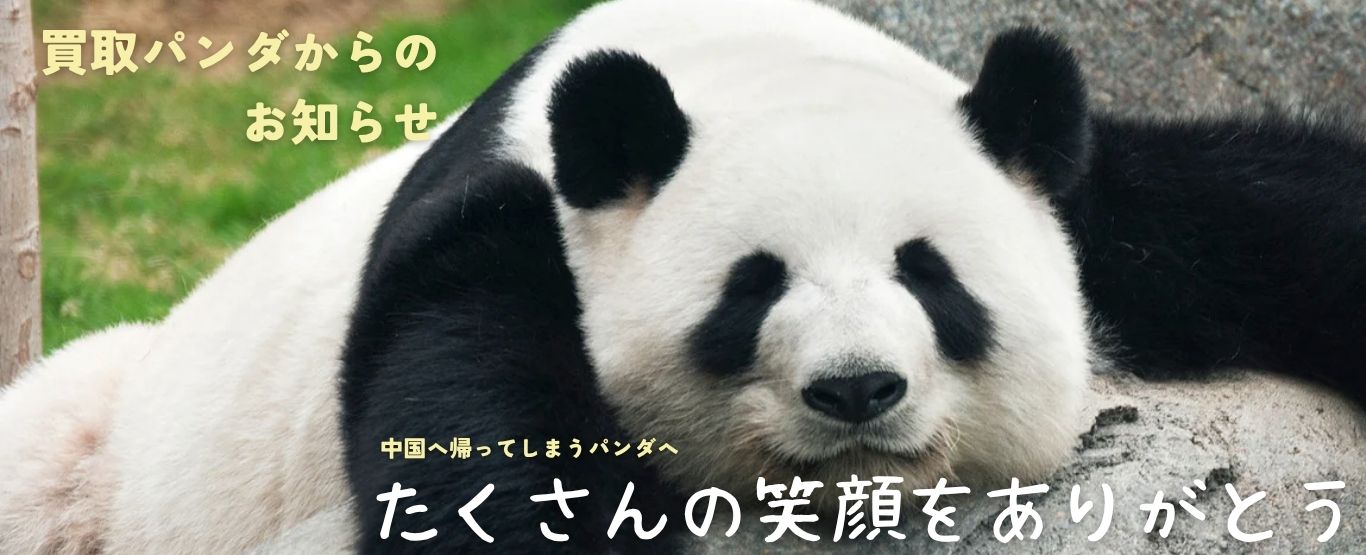 アドベンチャーワールドパンダ