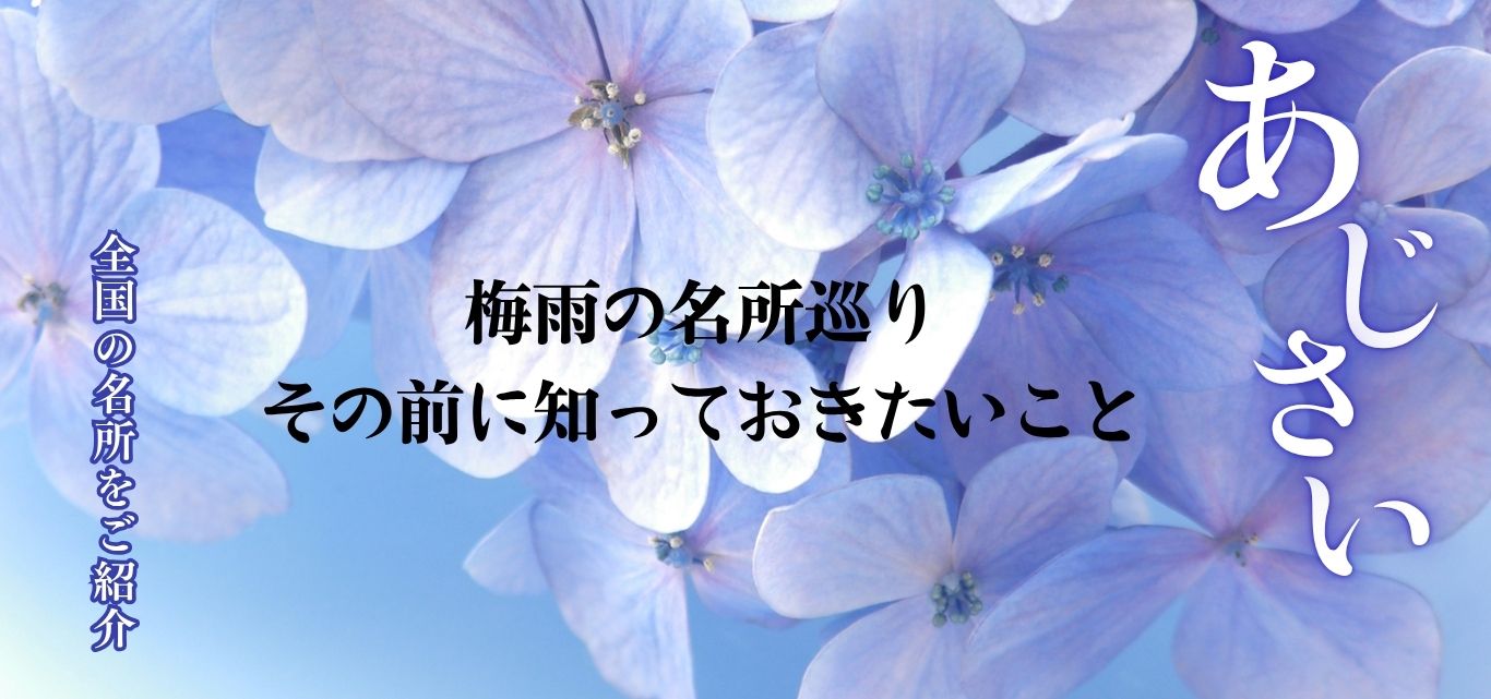 アジサイ名所